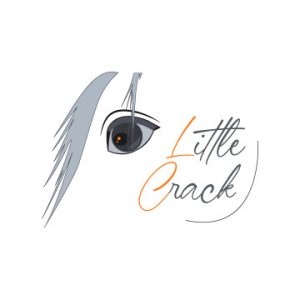 logo Little Crack Sellerie
