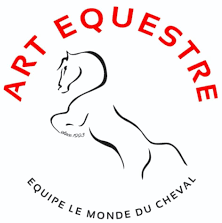 art-equestre-sellerie