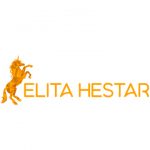Elita Hestar Berlin
