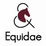 Sellerie Equidae - Dijon